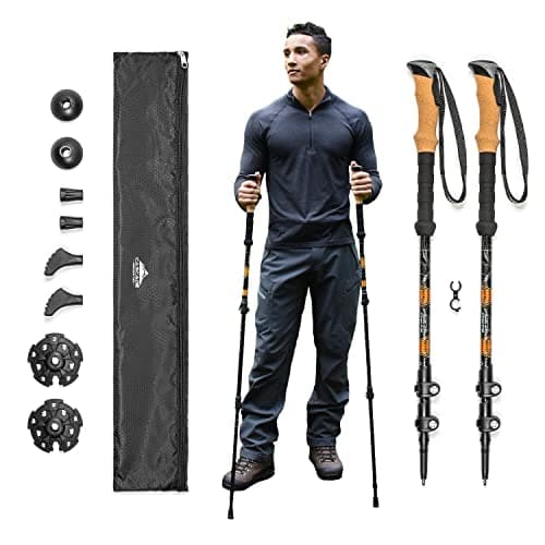 post-Cascade Mountain Tech Trekking Poles Reviewed by a PNW Hiker