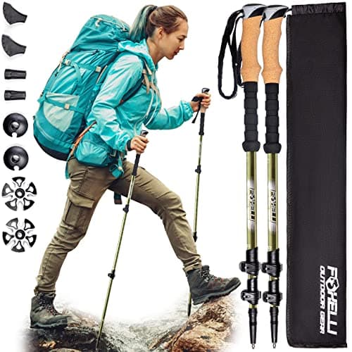 post-Foxelli Carbon Fiber Trekking Poles Reviewed by a Rainy PNW Hiker
